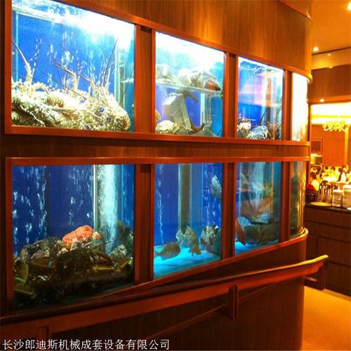 長沙海鮮池三層魚缸定制指南 設計圖要點、水產魚池費用與海鯊水族工廠解析