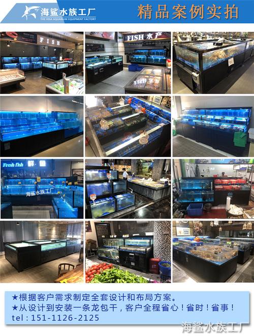 岳陽海鮮池定做廠家 三米水產魚缸設計圖選海鯊水族工廠
