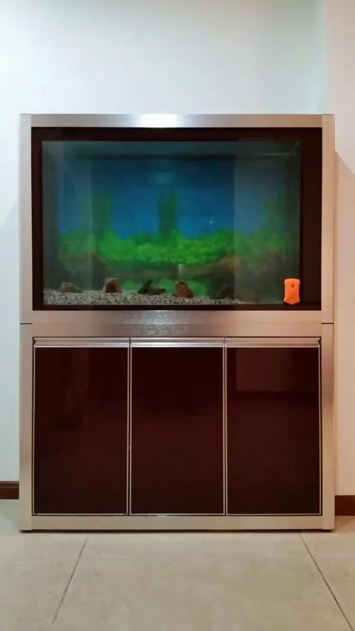 百晶坊專業水族定制工廠 匠心打造高端水族生態