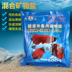 觀賞金龍魚選購指南 從淘寶到水族專賣店的全面解析
