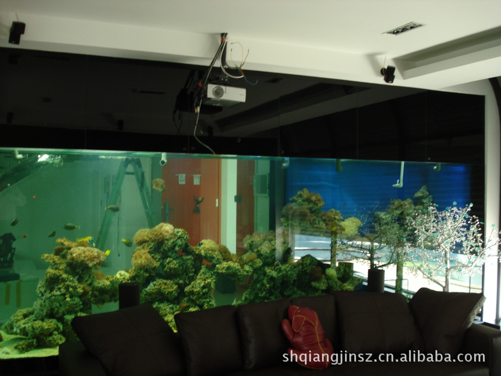 上海強進水族用品 優質魚缸器材廠家直供，品質與價格兼得